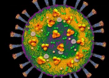 Vdekja e parë nga koronavirusi 5 vjet më parë, a është e përgatitur bota sot më mirë për pandemitë e reja?