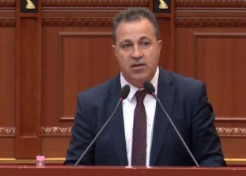 Zgjedhjet e 11 majit/ Propozimi që diaspora të votojë me dokumente të huaja, Peleshi: Si do t’i verifikojë KQZ?