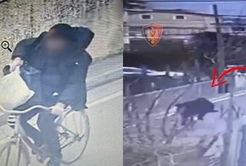 VIDEO / Grabitën miliona në një banesë në Shkodër, identifikohen dy “skifterët”