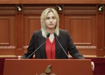 Protesta e banorëve të Manastirit, deputetja e PD, Ina Zhupa: Të ndalet grabitja e pronave