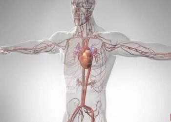 Arresti kardiak i rrezikshëm – Mjeku kardiolog jep këshilla të vlefshme në përballjen me të