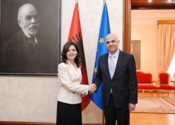 Spiropali pret Sekretarin e Përgjithshëm të KiE-së: Avancim i reformave drejt anëtarësimit në BE