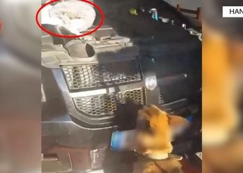 Tentoi të dilte nga Shqipëria me 1 kg kanabis në makinë, pranga 38-vjeçarit nga Mali i Zi