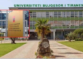 “Punoj këtu prej një jete!”/ Detaje nga seanca gjyqësore e zyrtarëve të UBT, Bejo Bizhga: Bëjmë kërkime shkencore, s’merremi me tendera