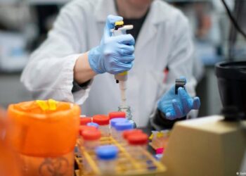 Kina zbulon koronavirusin e ri te lakuriqët e natës, transmetohet te njerëzit