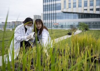 Synohet një e ardhme bujqësore më e efektshme, më e qëndrueshme dhe më e përparuar teknologjikisht