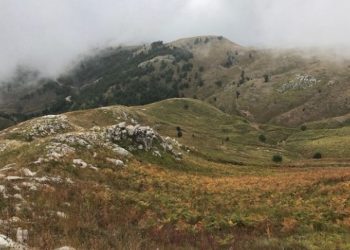 Plagosje në Cukal të Vaut të Dejës, policisë i duhen 3 orë për të shkuar në vendngjarje sepse…