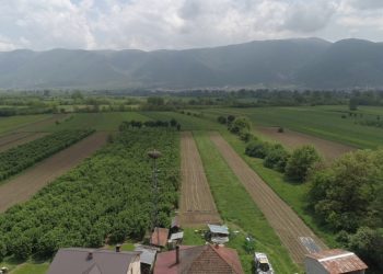 Qiradhënia e tokave bujqësore, drafti si do veprohet me investitorët strategjikë