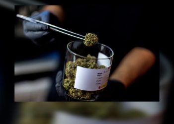 Kanabisi nga Tajlanda/ Pakoja e fundit qëndroi 1 javë në postë, trafikantët nuk shkonin për ta tërhequr