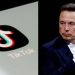Elon Musk: Nuk kam bërë asnjë ofertë për të blerë TikTok, nuk jam i interesuar