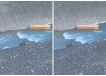 E pazakontë në Elbasan! Banorët gjejnë një arkivol të mbyllur në përrua, rrethanat ende mister