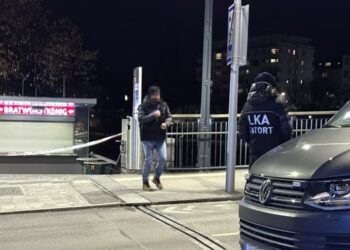 Vrau një 14 vjeçar dhe plagosi 5 të tjerë, autoritetet në Austri: Autori i sulmit kishte motive terroriste