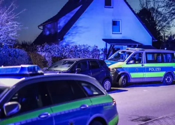 Tragjike në Gjermani, nëna vret dy djemtë e saj dhe më pas veten