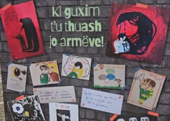 8 vrasje në 40 ditë, OSBE nis fushatën ndërgjegjësuese kundër armëve