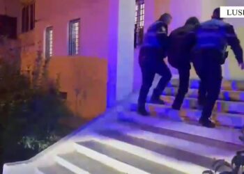 Organizonin lojëra fati në një berberhane, katër të arrestuar në Lushnje
