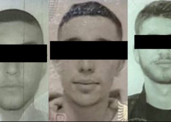 Drogë me postë nga Tajlanda në Shqipëri, arrestohen tre shtetas në Tiranë