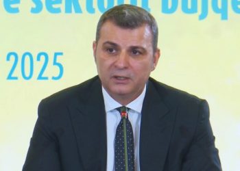 “Sektori bujqësor me performancën më të dobët”, Sejko: 25 mld Lekë për kreditimin e bizneseve të vogla dhe të mesme
