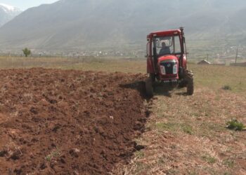 Shtyhet për në 2026, censi i bujqësisë dhe blegtorisë nuk do të mund të realizohet as këtë vit