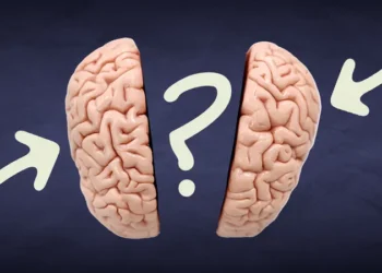 Rasti i rrallë, 44-vjeçarit ‘i ikën’ truri kur mëson se kishte vetëm gjysmën e tij