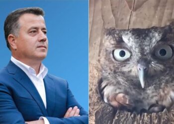 ‘Do vijë era shtet më 12 maj’, Rama ironizon edhe Flamur Nokën me videon e bufit të kënetës