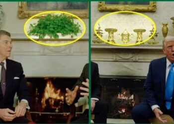 “Simbol i zyrës ovale prej gjysmë shekulli”/ Trump zhduk bimën e famshme ‘Swedish ivy’ nga ‘Shtëpia e Bardhë