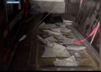 Milano/ Po trafikonin 90 kg marihuanë me kamion, arrestohen 39-vjeçari shqiptar dhe rumuni