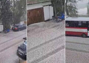 Breshëri ‘zbardh’ fshatin e Frakullës, në Fier! Banorët: Pemëtaria është shkatërruar