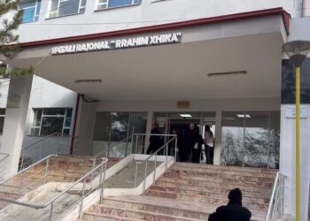 Dibër/ Muajt e parë të vitit me fluks të shtuar virozash në spitalin rajonal, mjekët: Nuk ka nevojë për panik!