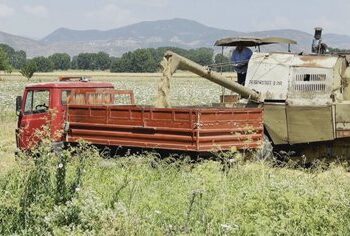 Banka e re me kapital shtetëror, ja sektorët kryesorë që do të përfitojnë