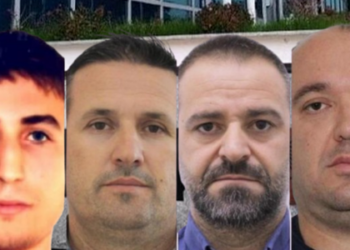 Detaje nga hetimet e SPAK: Shefat e Policisë mbulonin kultivimin e kanabisit, më pas trafikohej në Greqi