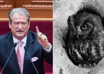 VIDEO / “Jam Sali Berisha unë o budallenj”, Rama dublon kreun e PD me një buf…