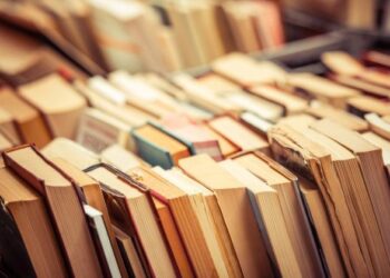 Shqipëria po “ushqehet” me mendimet e botës