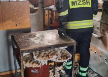 Merr flakë byrektorja në Pogradec, shpërthen bombola e gazit
