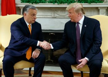 Trump nuk i harron miqtë, Orban: Do të kemi paketë bashkëpunimi ekonomik