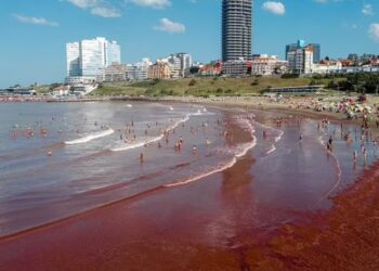 Fenomeni misterioz në brigjet e Floridas, studiuesit hedhin dritë pse uji i detit kthehet në ngjyrë të kuqe