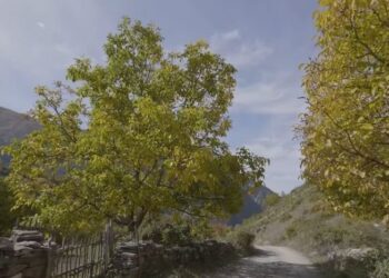 “Ktheje pronën e të parëve në mundësi të artë!” Rama: Paketa e Maleve, lehtësi fiskale e ndërtimi