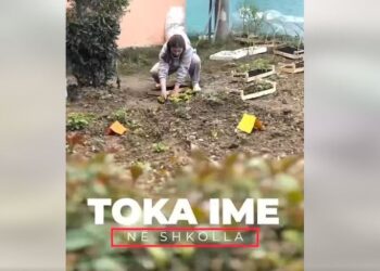 “Toka në Shkollë”, Rama publikon videon me nxënësit që mbjellin fidanë