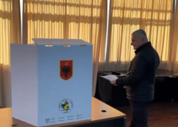 Primaret e Partisë Demokratike, 19.186 demokratë votuan deri në mesditë