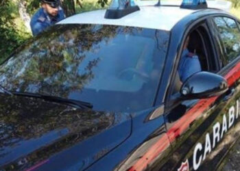 E fshihte kokainën në trungun e lajthive, arrestohet 35-vjeçari shqiptari në Itali