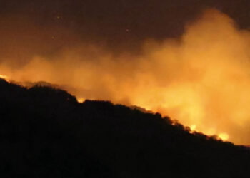 Japonia lufton zjarrin më të madh në tri dekada/ Raportohet për të vdekur, mijëra të evakuuar
