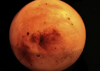 Udhëtimi në Mars më 2026, Elon Musk: Do çojmë robotë me pamje njerëzore