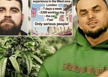 Shqiptarët në Angli hapin në TikTok “qendër punësimi”, The Sun: Rekrutojnë shitës dhe transportues droge