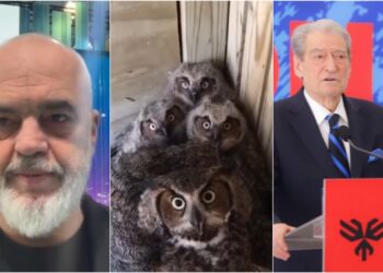 VIDEO / Koalicioni i Berishës me 25 parti të tjera, tallet Rama: Fronti i Noc Rrokut…