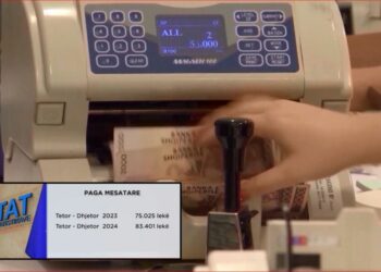 INSTAT: Paga mesatare shkon në 83 mijë Lekë! Më të keqpaguar mbeten bujqësia, industria dhe ndërtimi