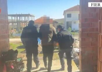 Goditet grupi kriminal në Divjakë, arrestohen dy vëllezër dhe një bashkëpunëtor! 10 të shoqëruar