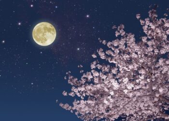 Të vërtetat do të dalin në dritë! Hëna e Plotë e 14 Marsit sjell fat dhe begati për 3 shenja të horoskopit