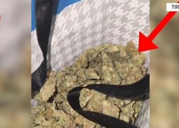 Ktheu banesën në “bazë” droge, arrestohet 30-vjeçari në Tiranë