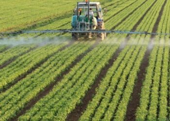 Mbështetja për fermerët/ Zbardhet vendimi i qeverisë, kriteret që duhet të plotësojnë përfituesit