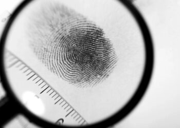 Kultivoi 1150 rrënjë drogë, identifikohet pas dy vitesh përmes ADN-së shqiptari në Greqi