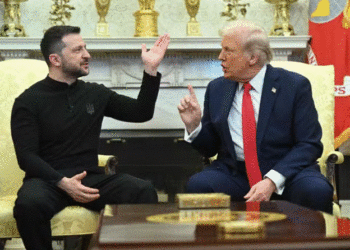 Pse Trump dëshiron të largojë Zelenskyn? Ekspertja e sigurisë: Janë mëri të vjetra